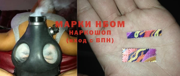 прущие грибы Алзамай