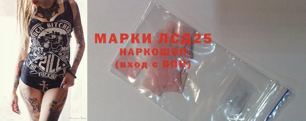 прущие грибы Алзамай