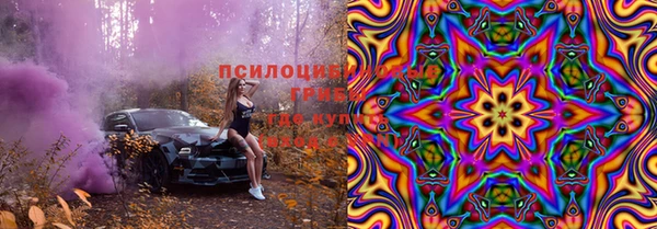 прущие грибы Алзамай