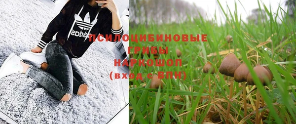 ПСИЛОЦИБИНОВЫЕ ГРИБЫ Абаза